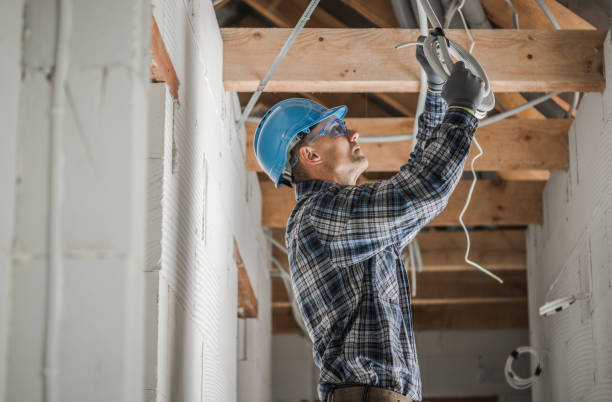 Best Ceiling Fan Installation Electrician  in Lake Holm, WA